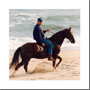 Bill Clinton riding a horse Posters and Art